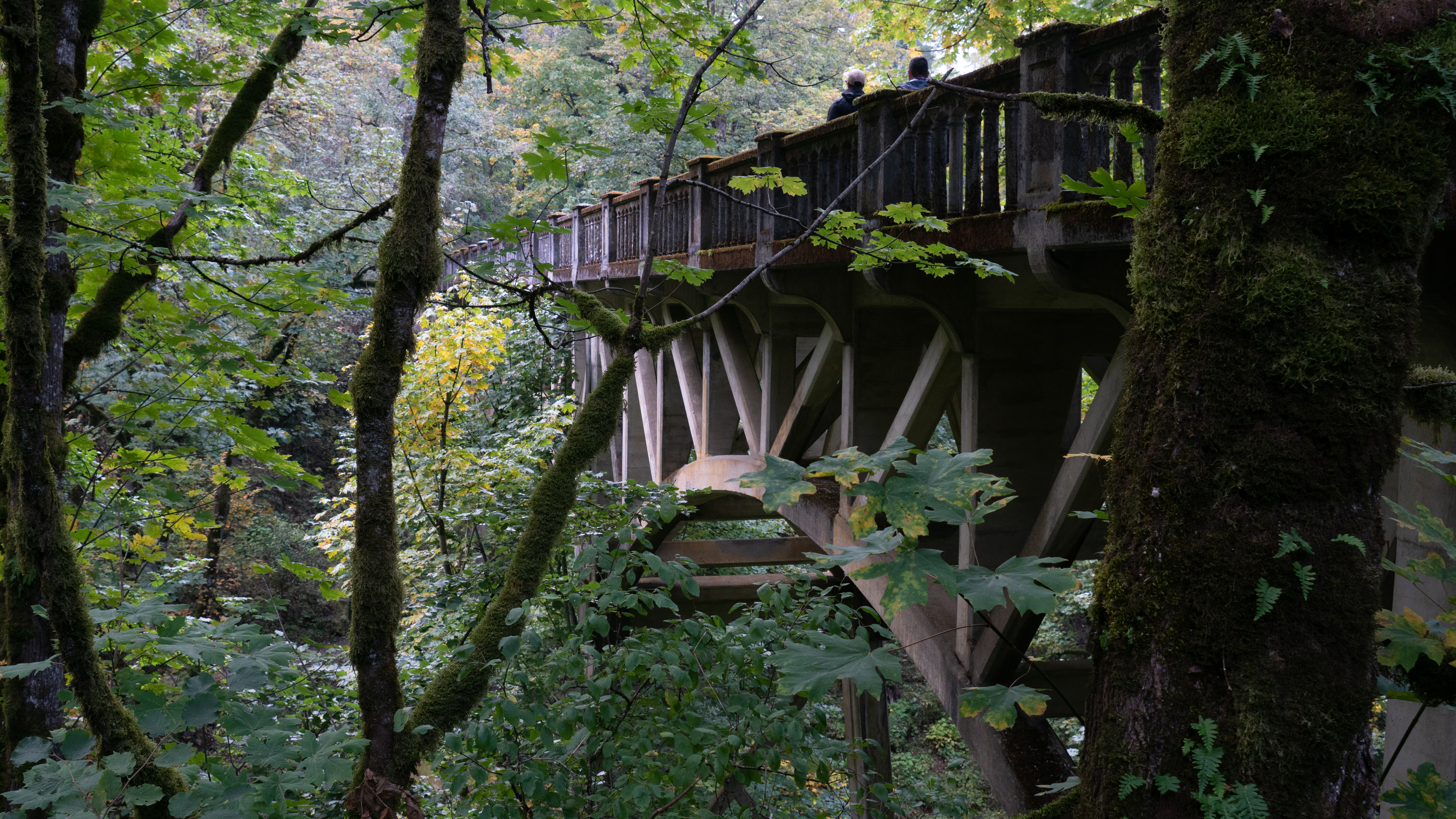 Bridge at Latourell Falls
